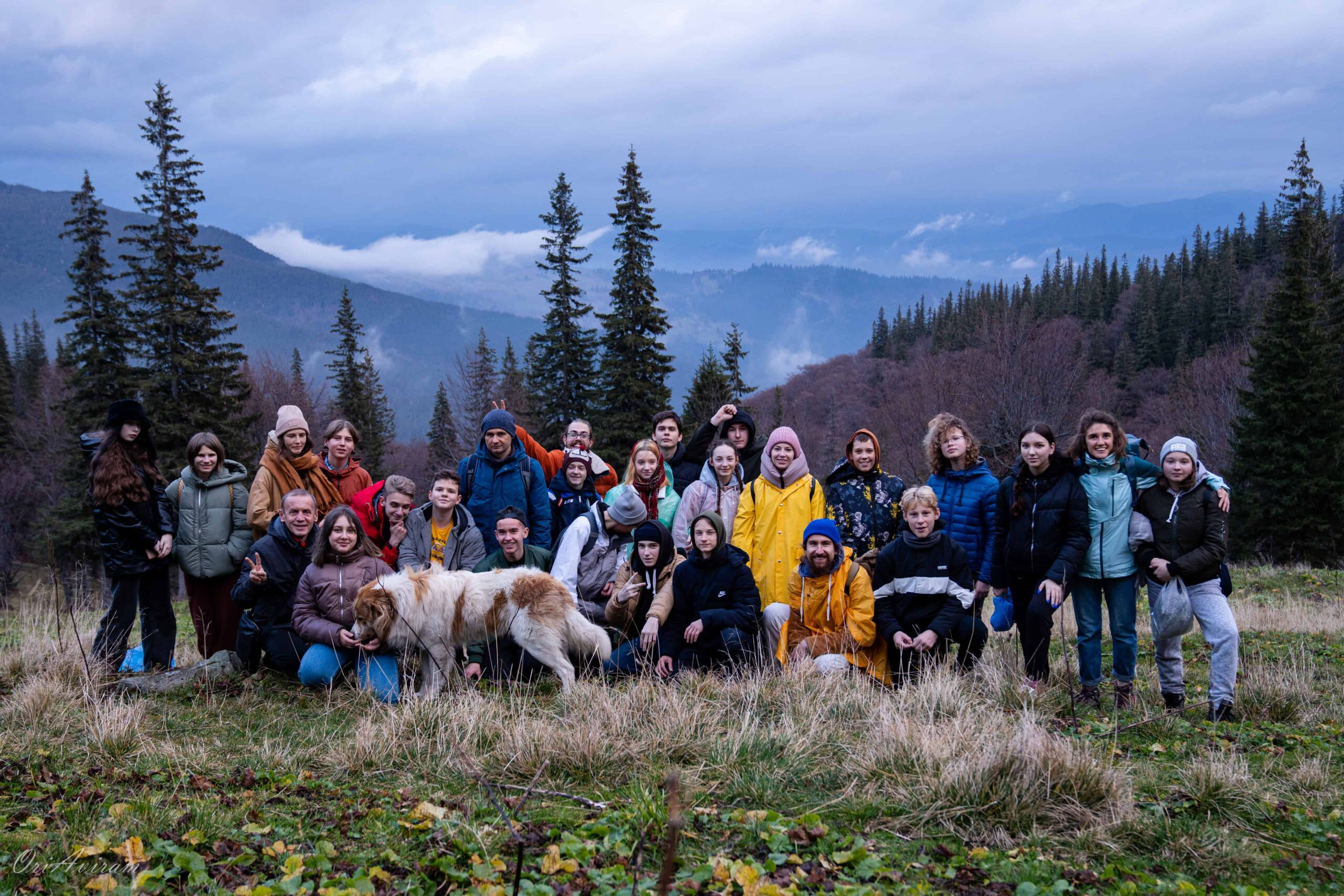 Sunlight spilling over a quiet creek beside the Horytsvit tents.